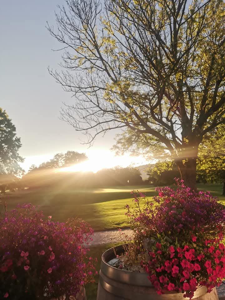 Sonnenuntergang über dem Golfplatz